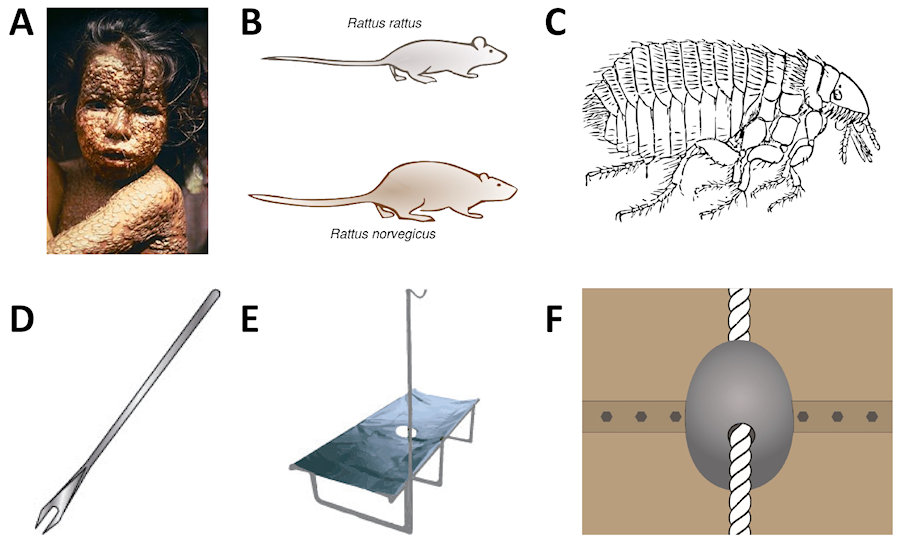 An external file that holds a picture, illustration, etc., usually as some form of binary object. The name of referred object is rmmj-11-3-e0027-g002.gif